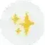 073bd753-cad8-461e-b724-68aff1b71992-_ur3jztqi6.webp